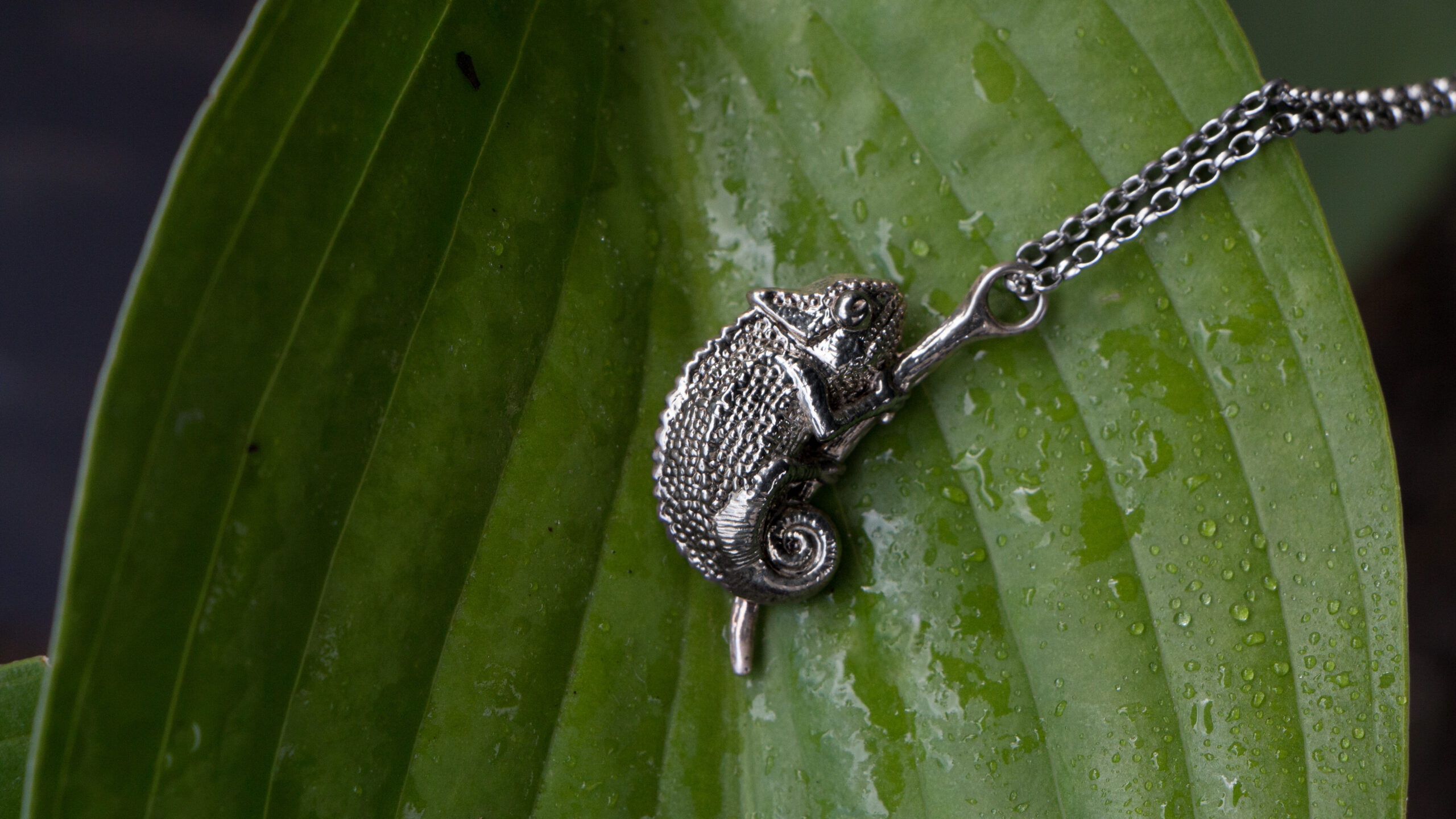 Chameleon Pendant - Image 3