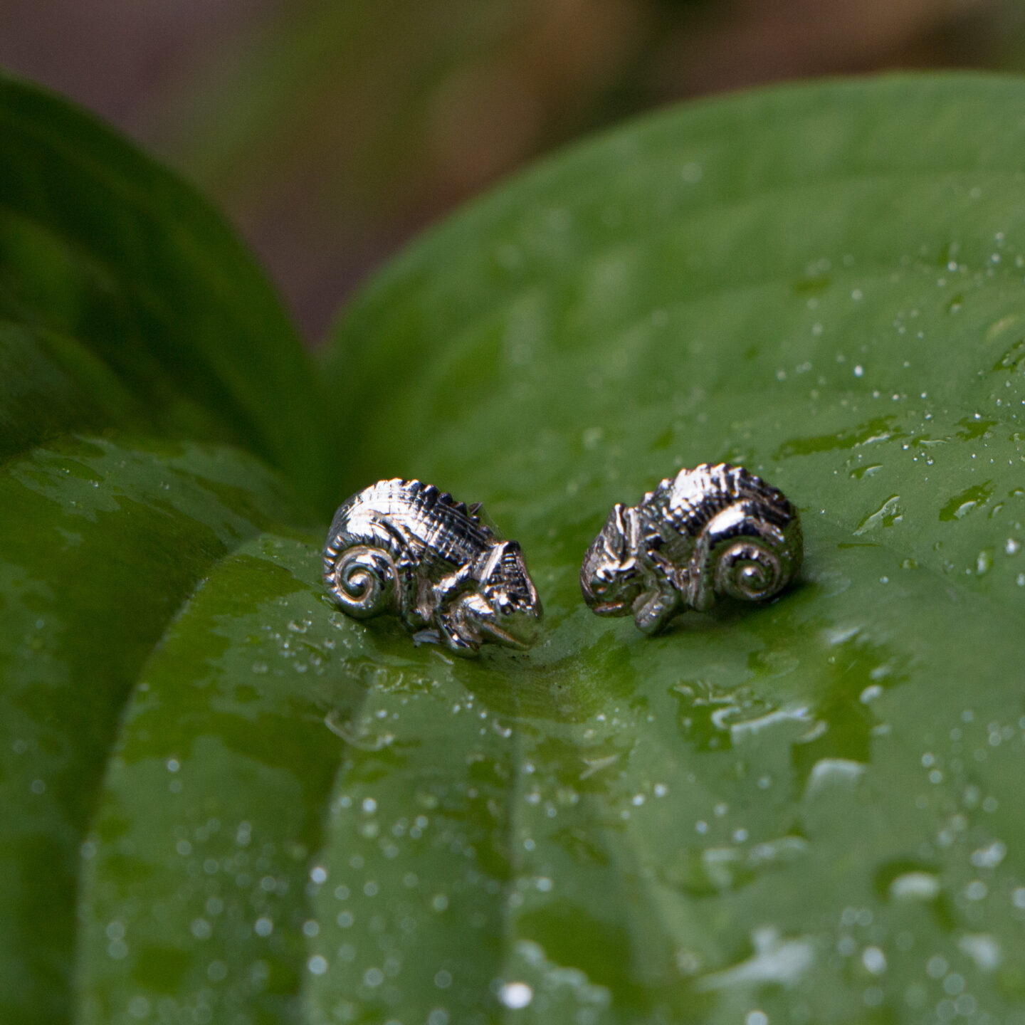 Chameleon Stud Earrings
