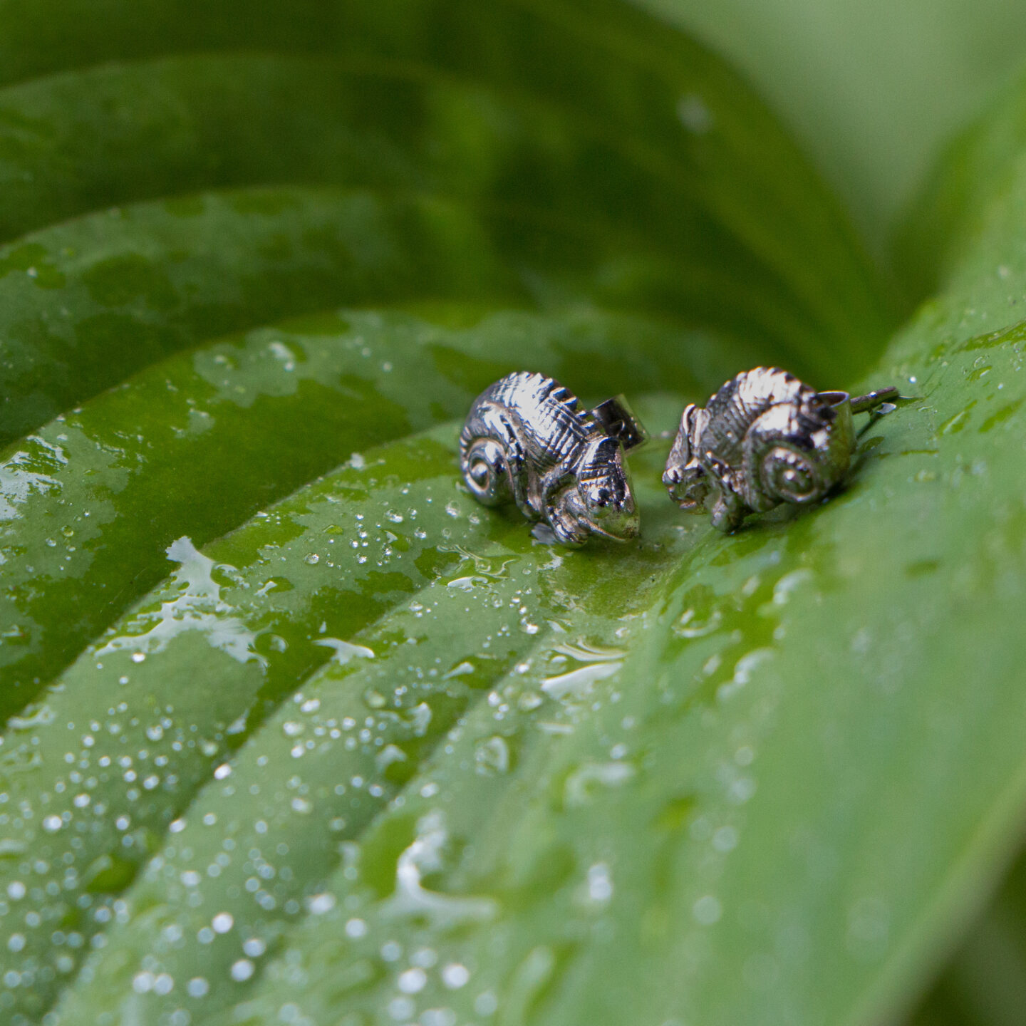 Chameleon Stud Earrings