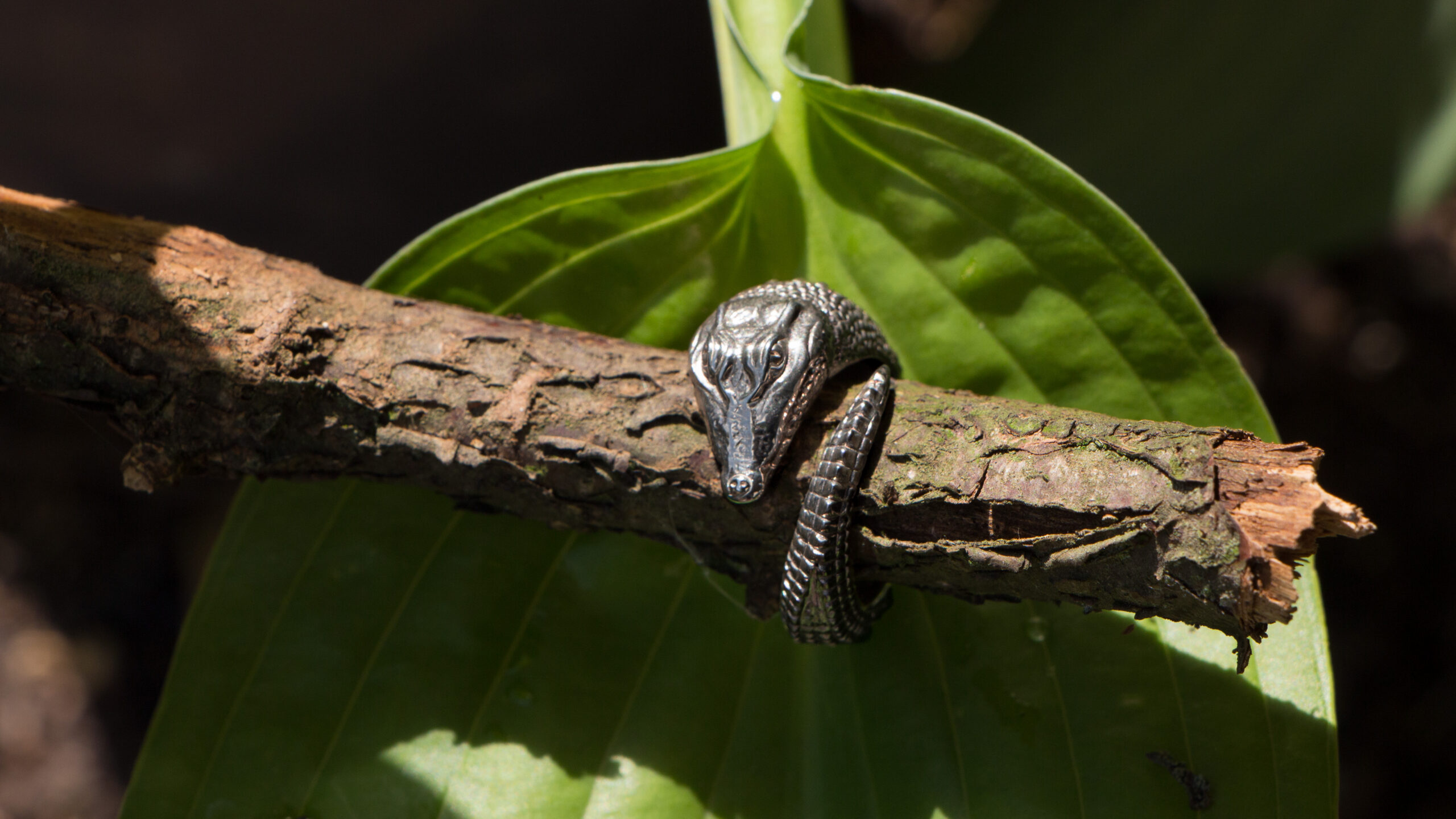 Crocodile Ring - Image 3
