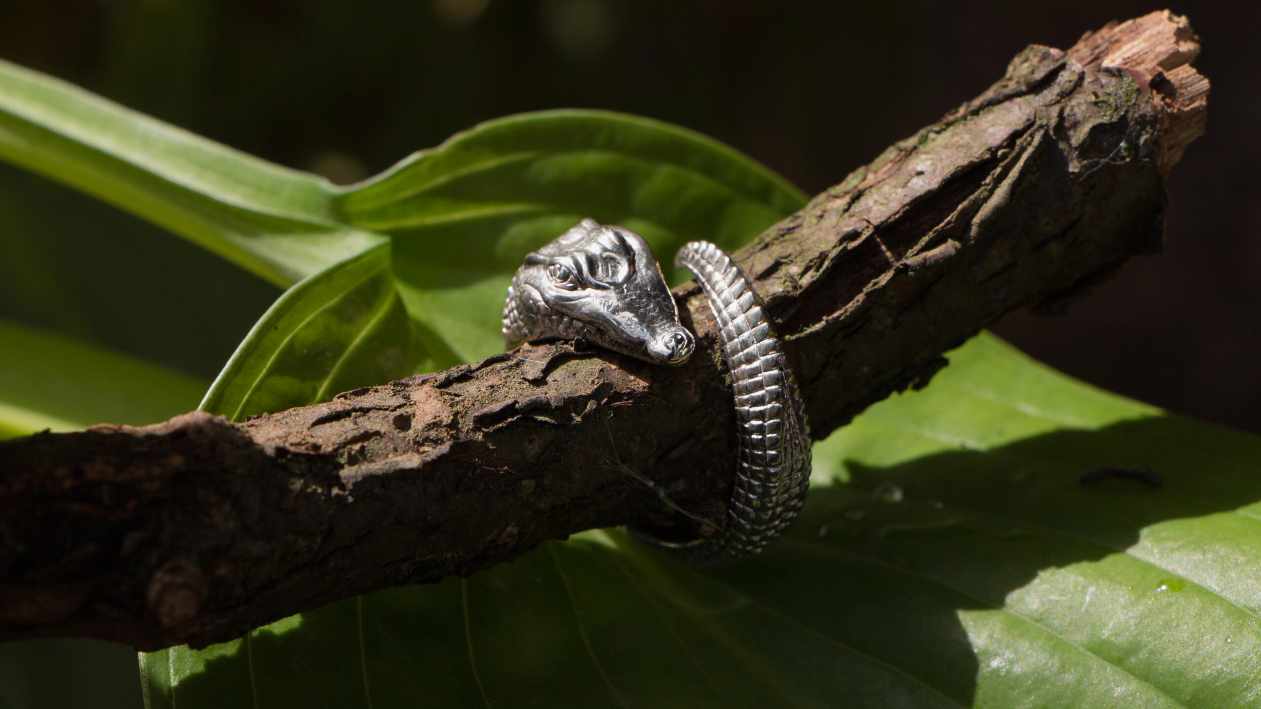 Crocodile Ring