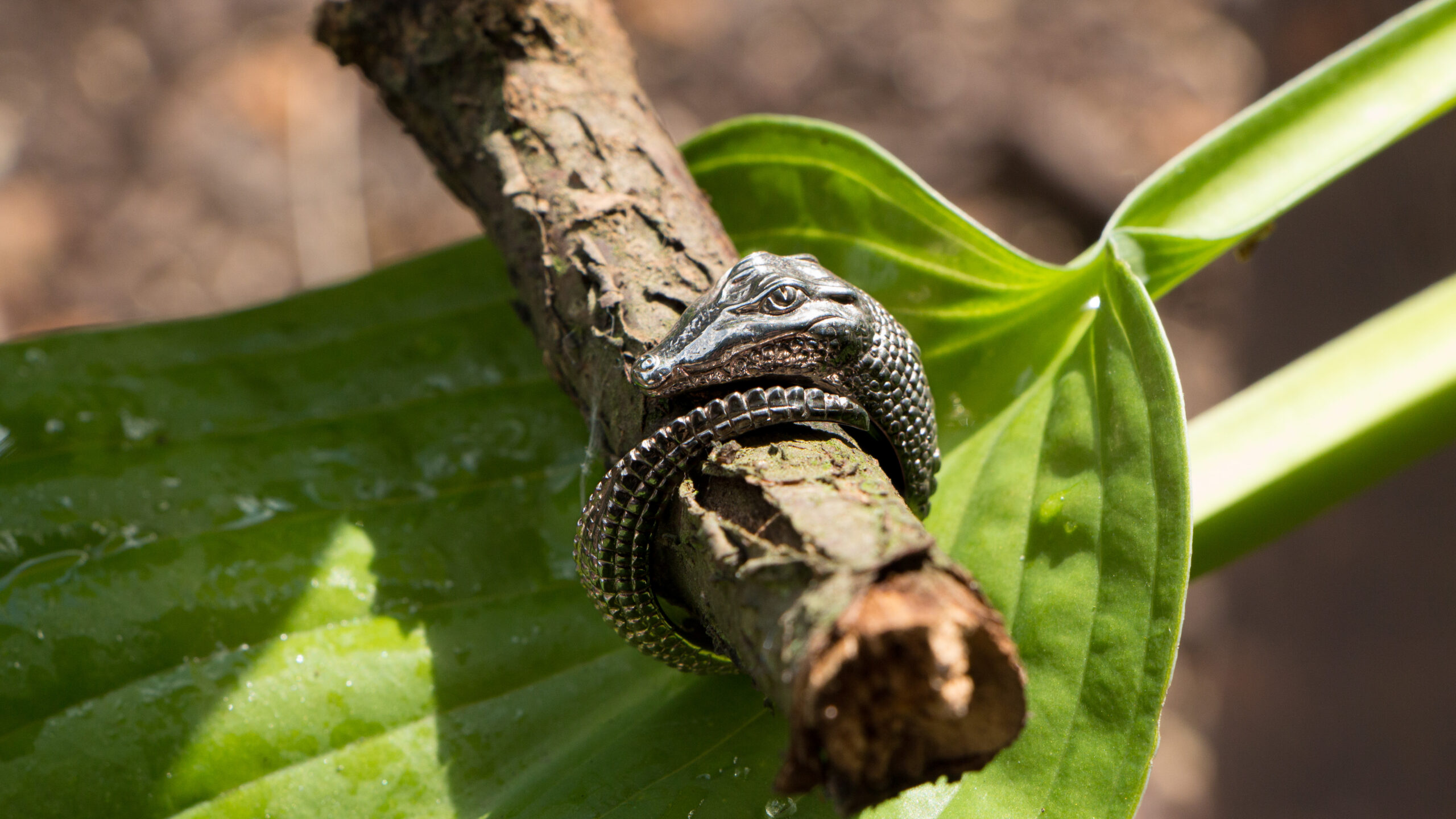 Crocodile Ring - Image 4
