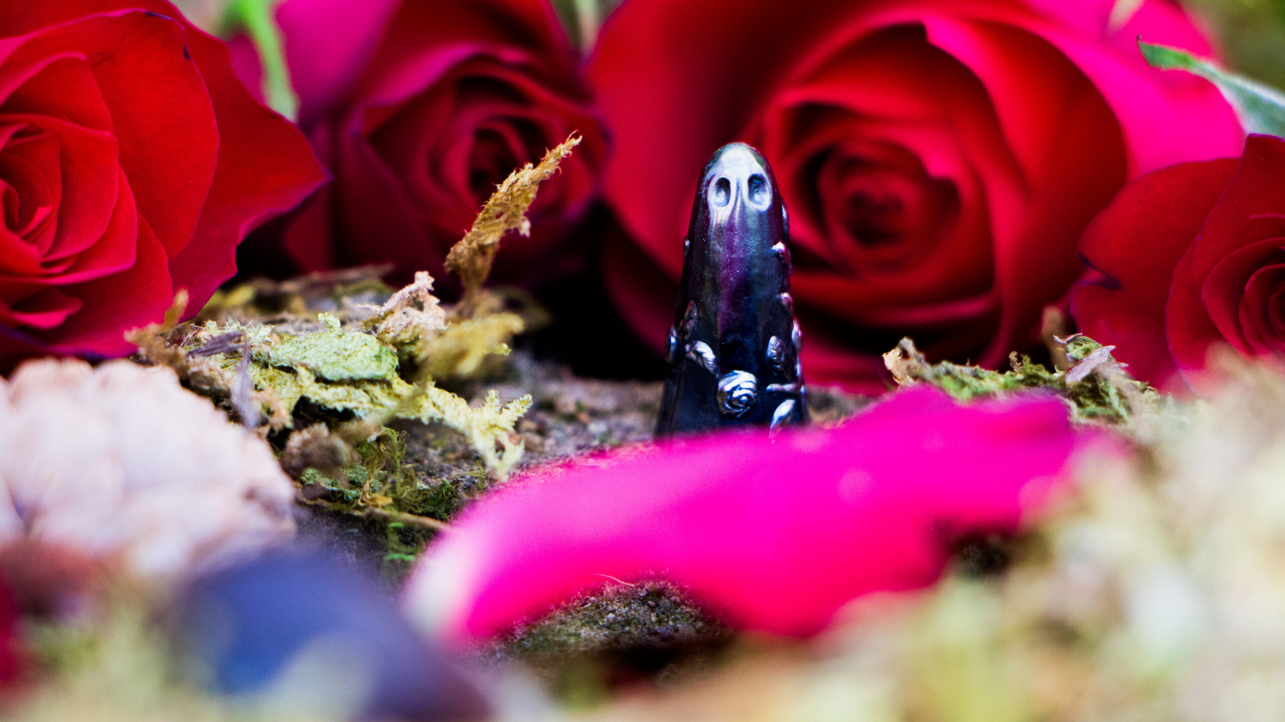 Climbing Rose Secret Garden Ghost - Image 3