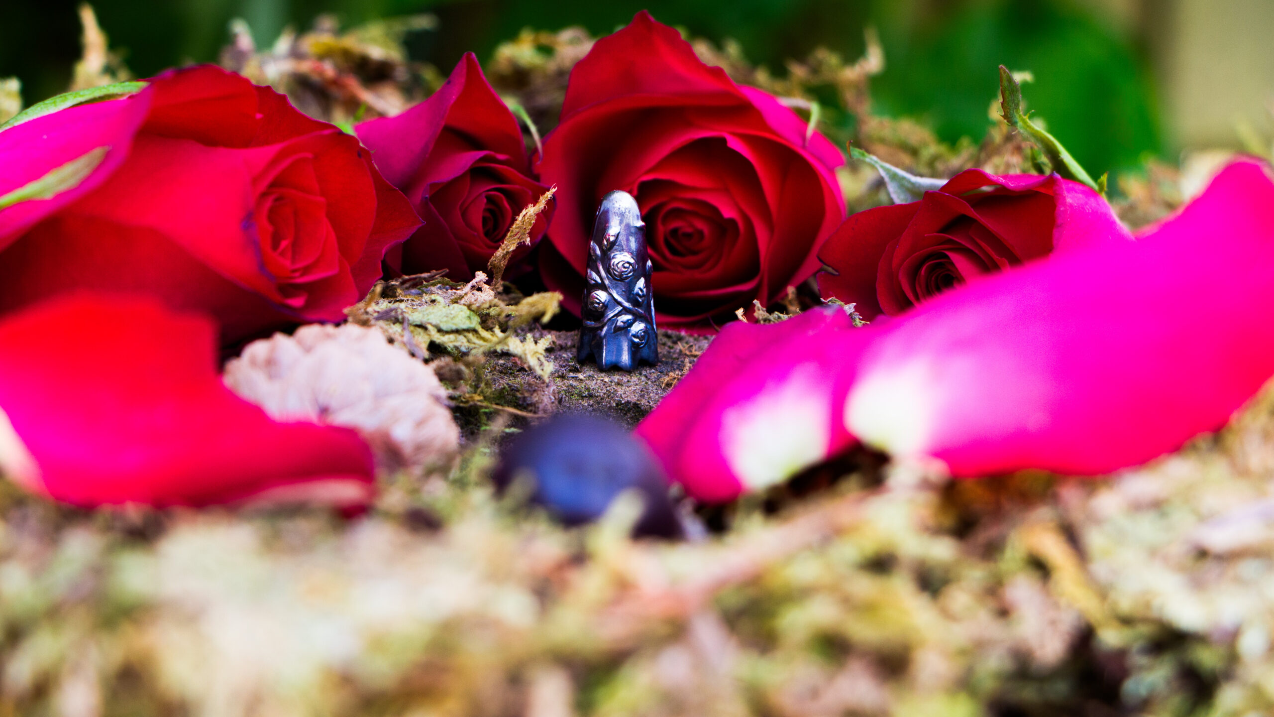 Climbing Rose Secret Garden Ghost - Image 4