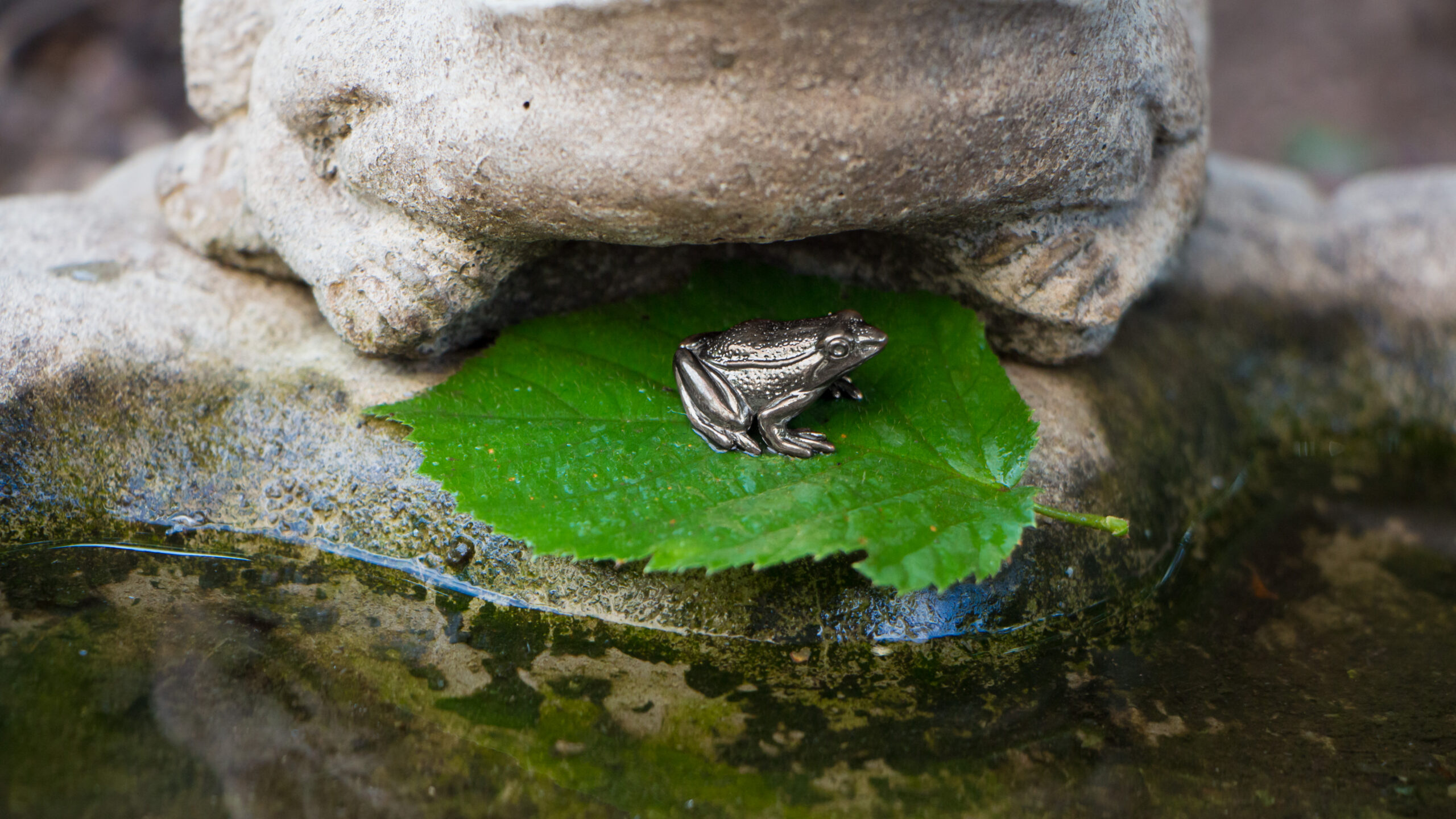 Woodland Frog Statuette - Image 3