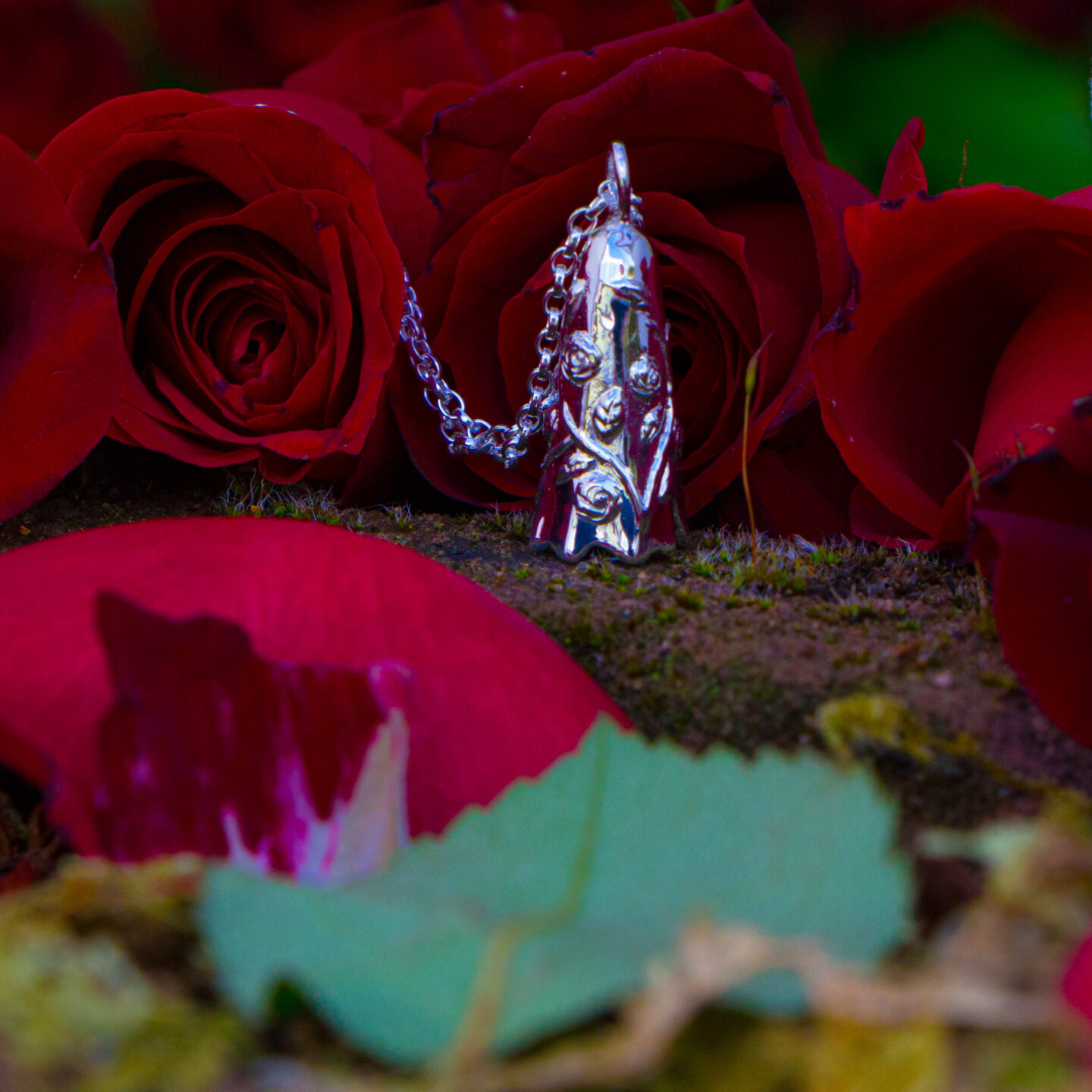 Climbing Rose Secret Garden Ghost