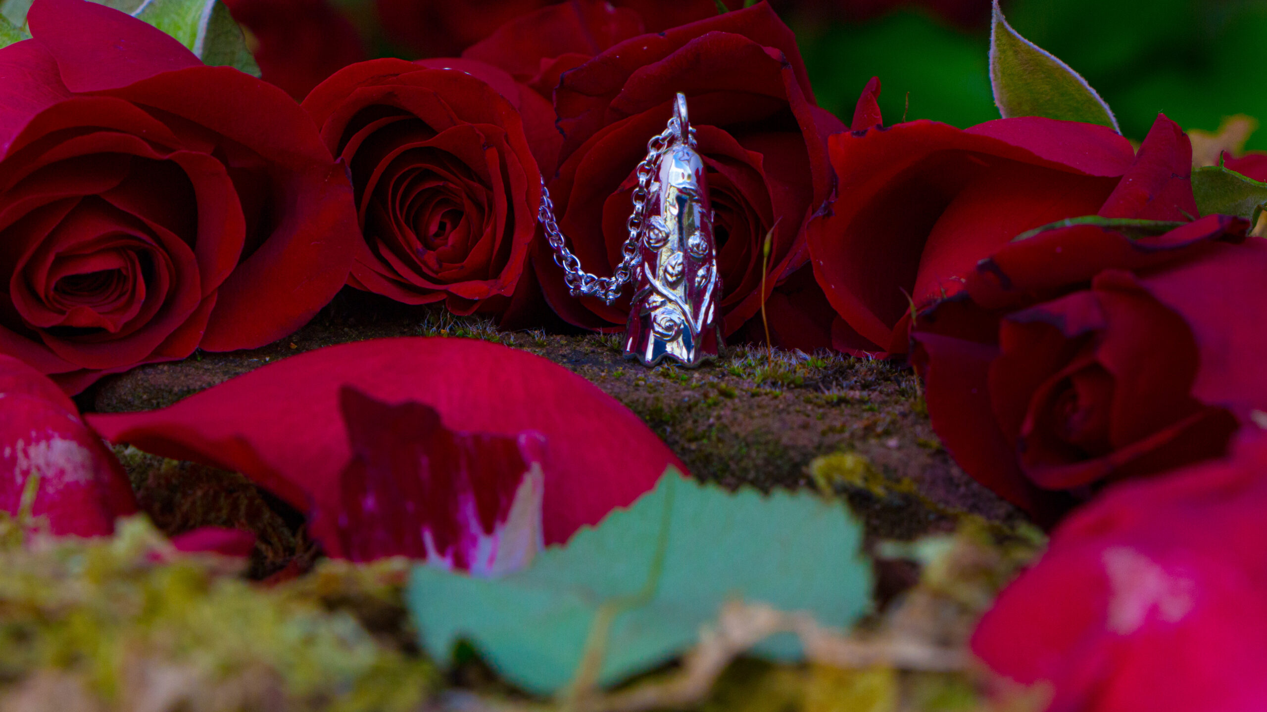 Climbing Rose Secret Garden Ghost - Image 2