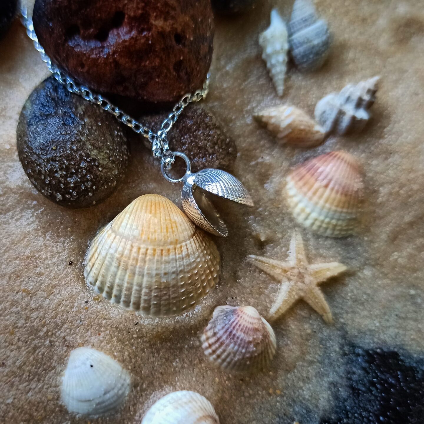 Open Cockle Shell Pendant