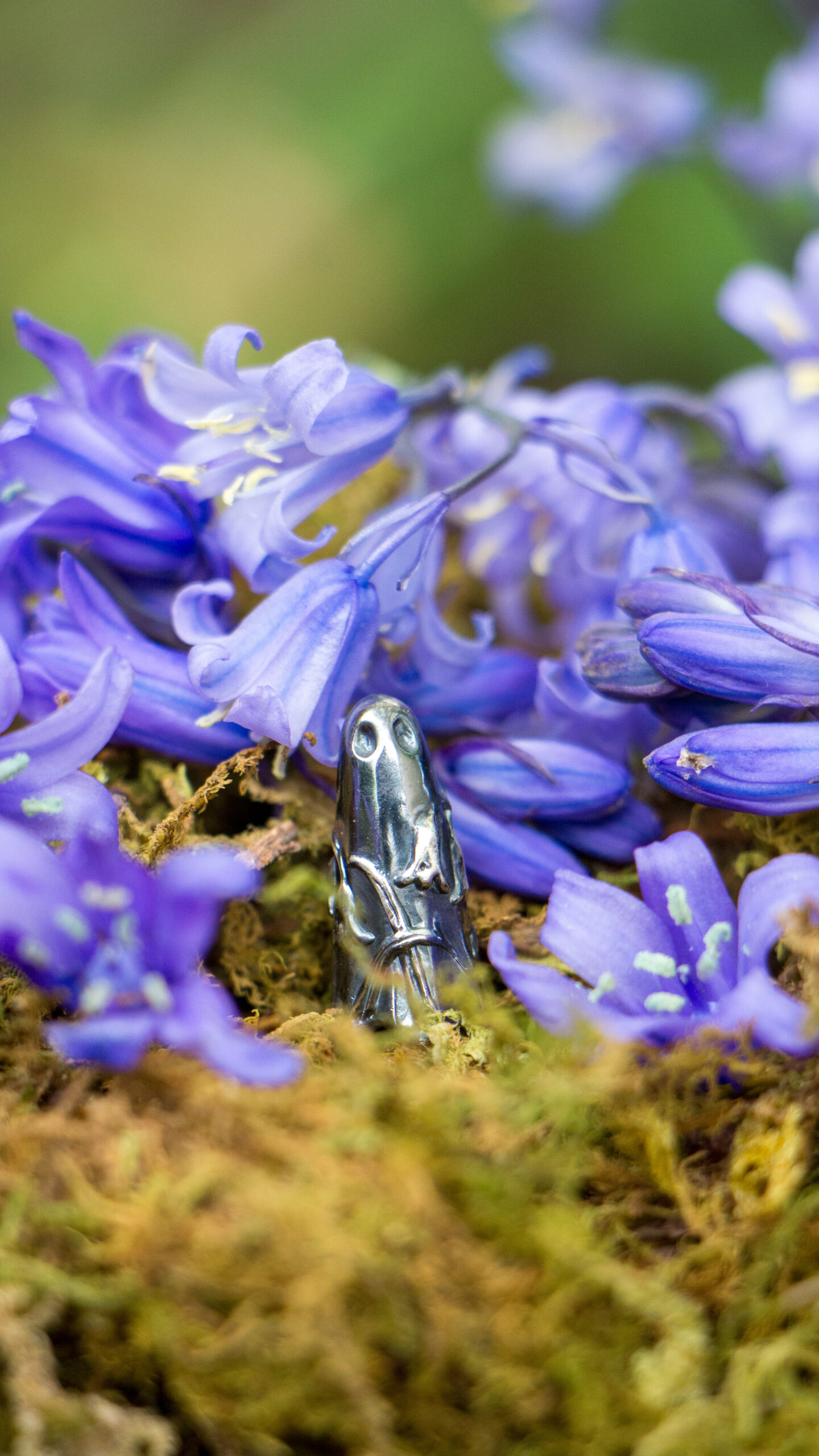 Bluebell Secret Garden Ghost - Image 3