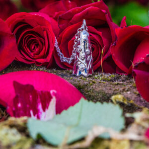 Climbing Rose Secret Garden Ghost